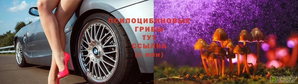 каннабис Арсеньев
