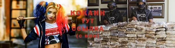каннабис Арсеньев