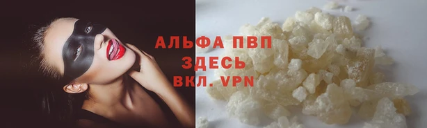 Альфа ПВП Баксан
