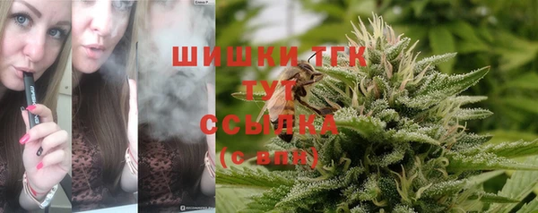стаф Осинники