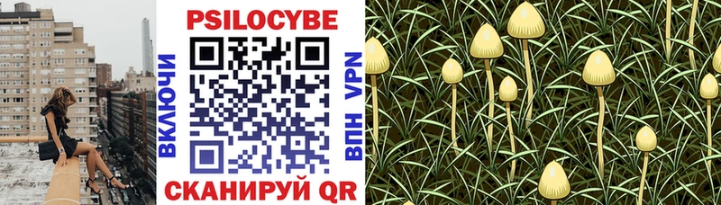 кракен онион  наркота  Нововоронеж  Галлюциногенные грибы Magic Shrooms 